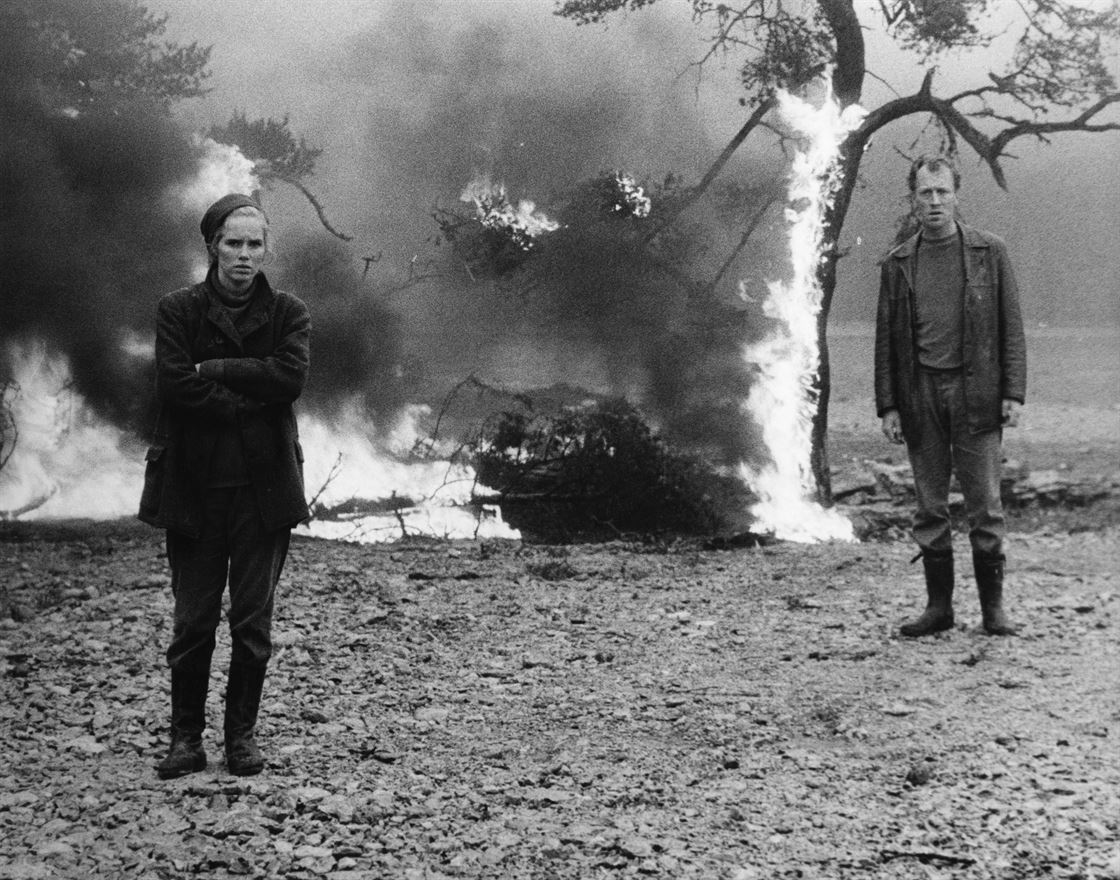 1968: 10 películas, movimientos civiles y estudiantiles”